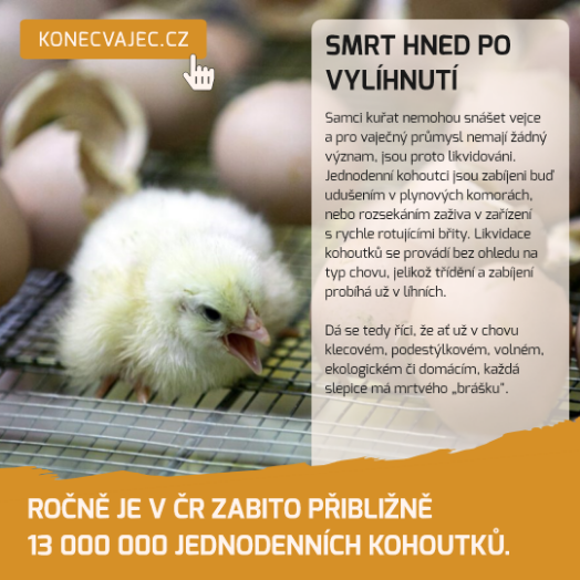 Konec vajec